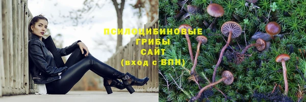 ГАЛЛЮЦИНОГЕННЫЕ ГРИБЫ Алзамай