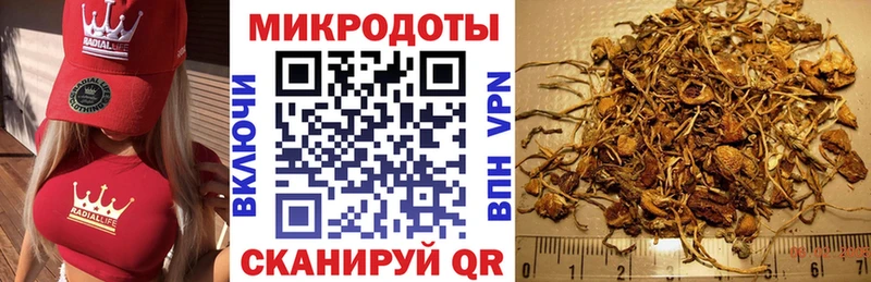 Купить где  Тюмень  Псилоцибиновые грибы Psilocybe 